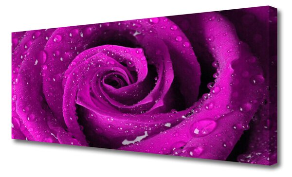 Tablou pe panza canvas Rose Floral roz