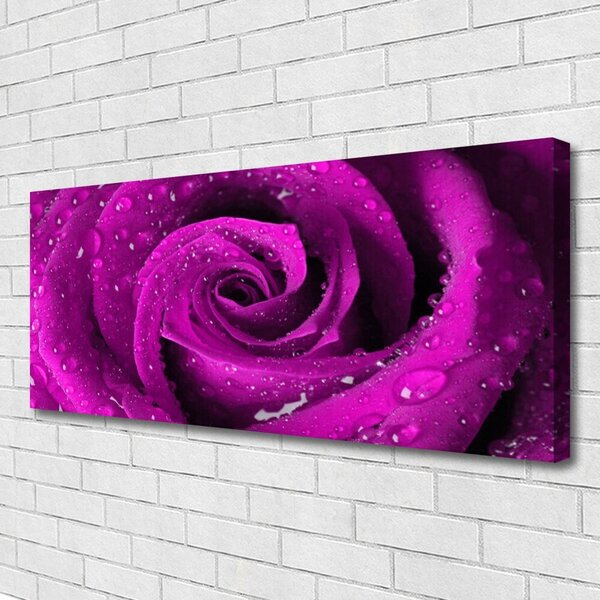 Tablou pe panza canvas Rose Floral roz