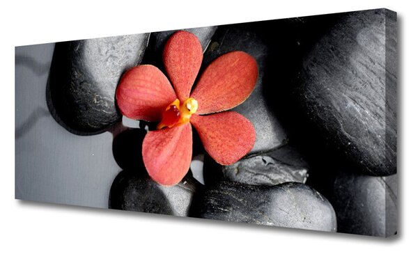Tablou pe panza canvas Pietrele de flori Art Roșu Gri