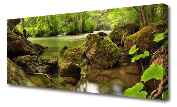 Tablou pe panza canvas Rock Lake Natura verde
