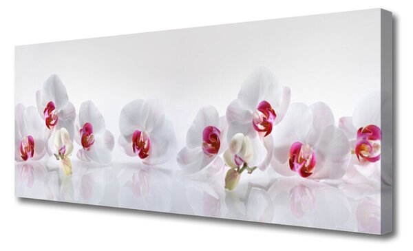 Tablou pe panza canvas Flori Floral Alb Roșu