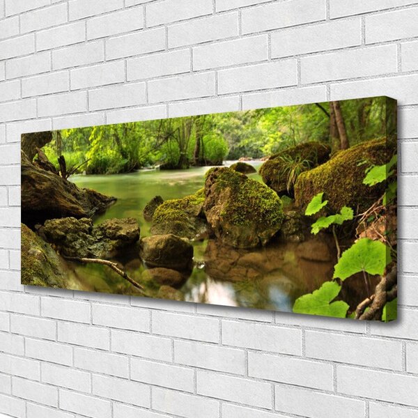 Tablou pe panza canvas Rock Lake Natura verde