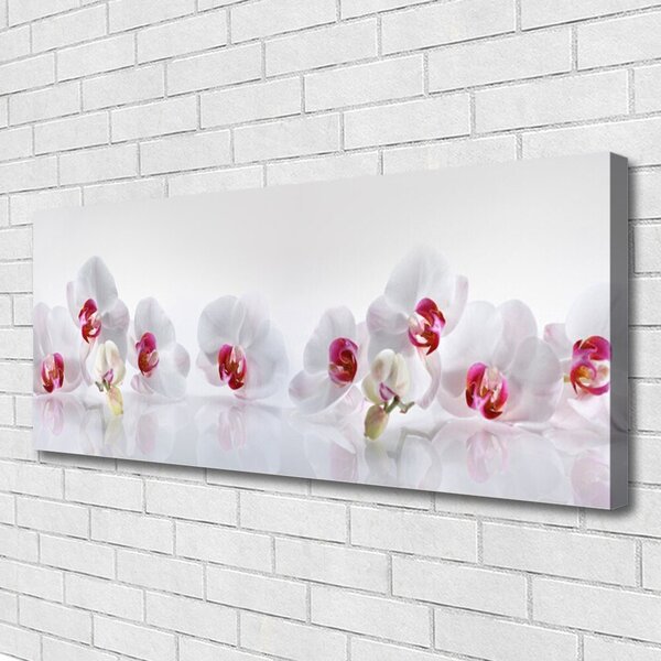 Tablou pe panza canvas Flori Floral Alb Roșu