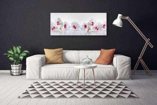 Tablou pe panza canvas Flori Floral Alb Roșu