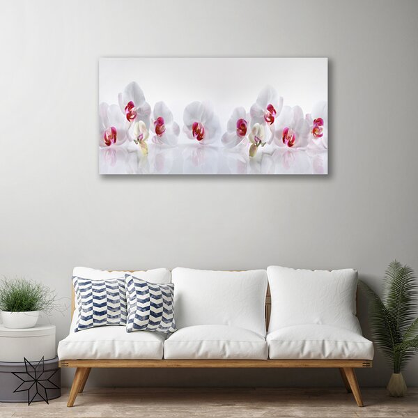 Tablou pe panza canvas Flori Floral Alb Roșu