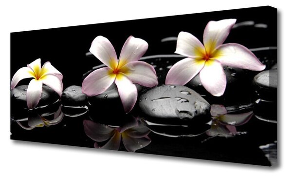 Tablou pe panza canvas Floare pietre Floral Alb Galben Negru