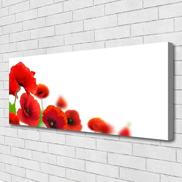 Tablou pe panza canvas Maci Floral Roșu Negru Verde