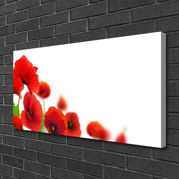 Tablou pe panza canvas Maci Floral Roșu Negru Verde