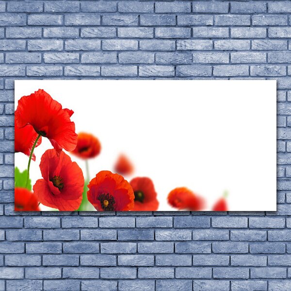 Tablou pe panza canvas Maci Floral Roșu Negru Verde
