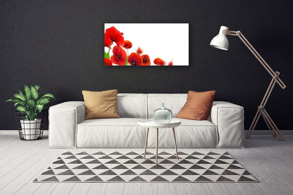 Tablou pe panza canvas Maci Floral Roșu Negru Verde