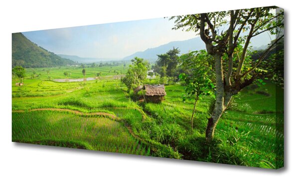 Tablou pe panza canvas Meadow Natura verde
