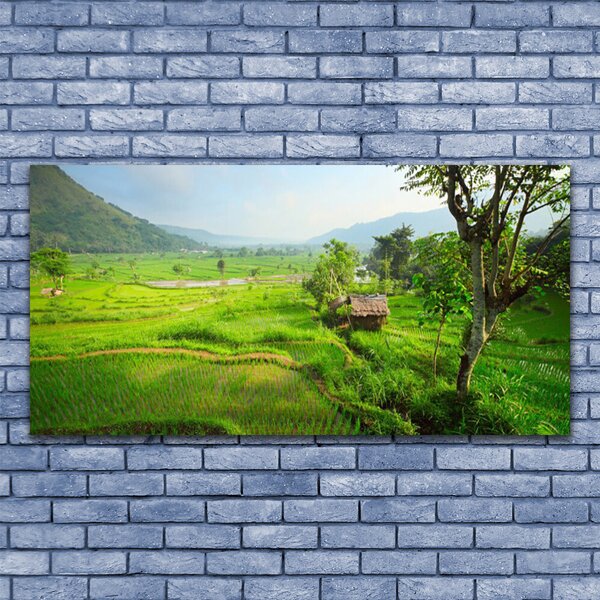 Tablou pe panza canvas Meadow Natura verde