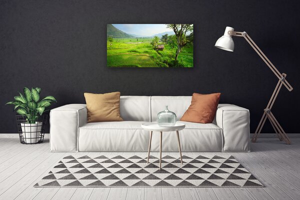 Tablou pe panza canvas Meadow Natura verde