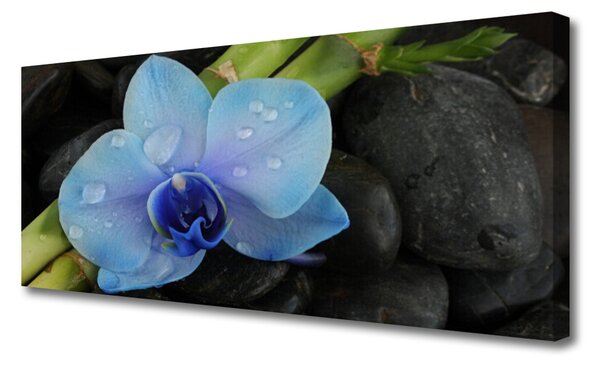 Tablou pe panza canvas Pietre florale flori violet negru