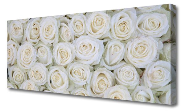 Tablou pe panza canvas Trandafiri Floral Alb