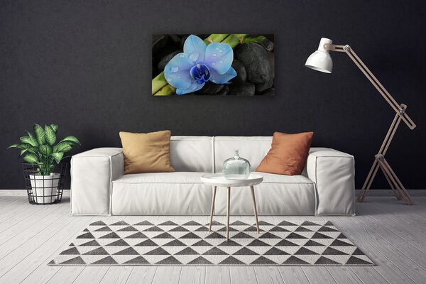 Tablou pe panza canvas Pietre florale flori violet negru