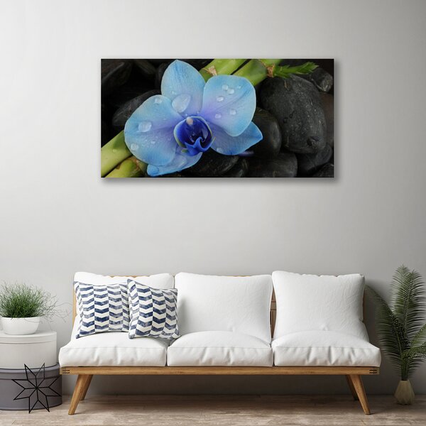 Tablou pe panza canvas Pietre florale flori violet negru