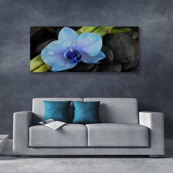 Tablou pe panza canvas Pietre florale flori violet negru