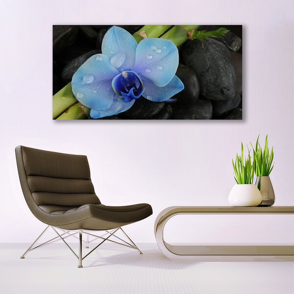 Tablou pe panza canvas Pietre florale flori violet negru
