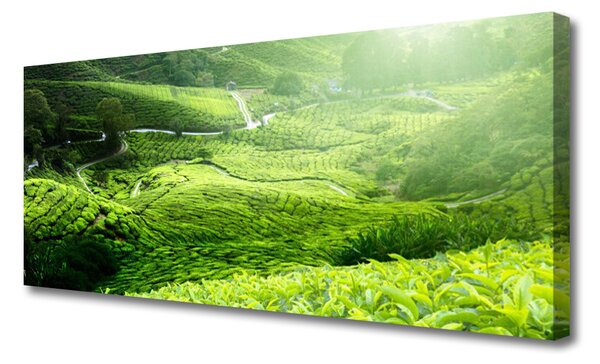 Tablou pe panza canvas Meadow Natura verde