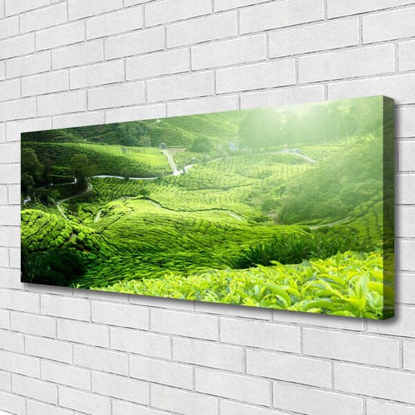 Tablou pe panza canvas Meadow Natura verde
