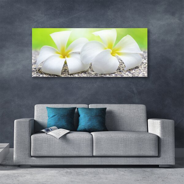 Tablou pe panza canvas Flori Floral alb