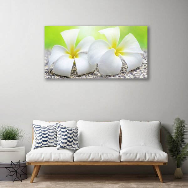 Tablou pe panza canvas Flori Floral alb