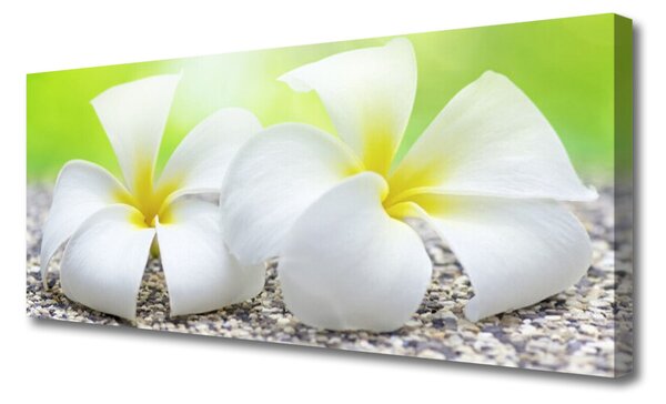 Tablou pe panza canvas Flori Floral alb
