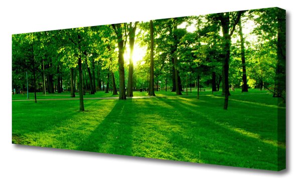 Tablou pe panza canvas Natural Pădurea Verde Maro