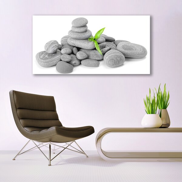 Tablou pe panza canvas Pietre Art Gray