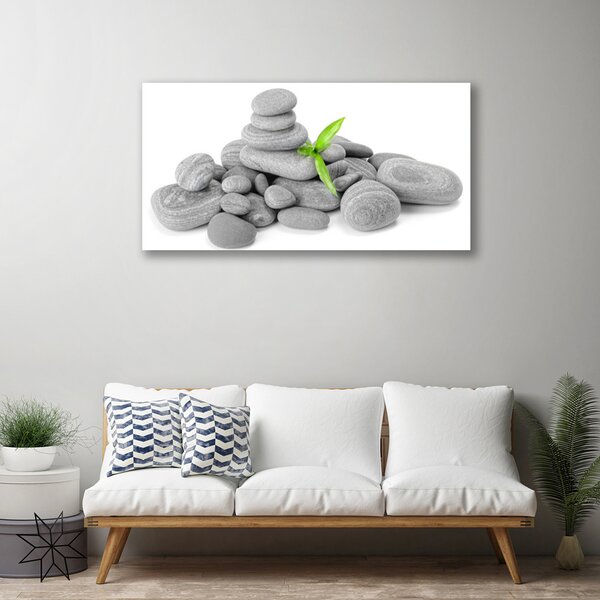 Tablou pe panza canvas Pietre Art Gray