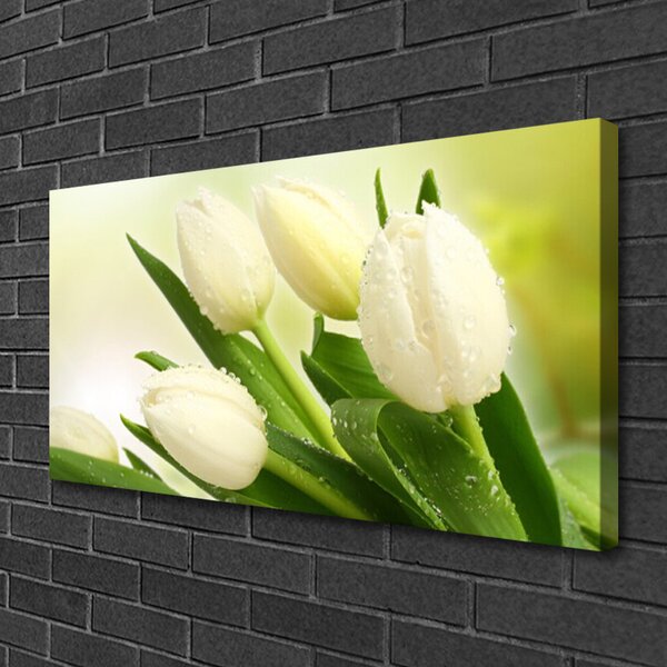 Tablou pe panza canvas Lalele Floral Alb Verde