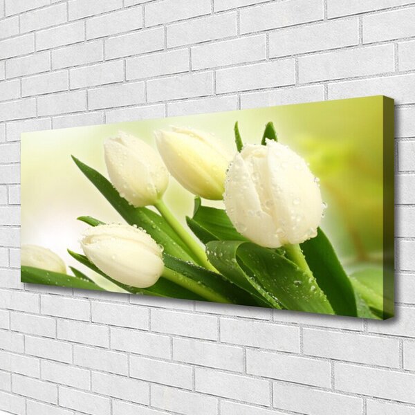 Tablou pe panza canvas Lalele Floral Alb Verde