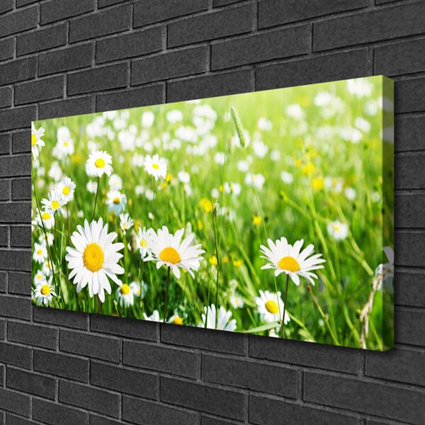 Tablou pe panza canvas Daisy Floral Alb Galben Verde