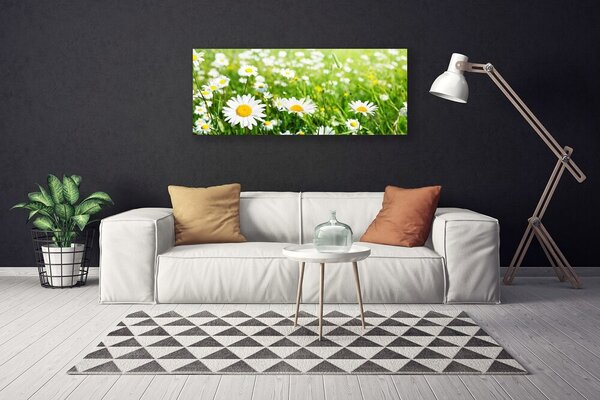 Tablou pe panza canvas Daisy Floral Alb Galben Verde