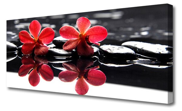 Tablou pe panza canvas Pietrele florale flori Roșu Negru