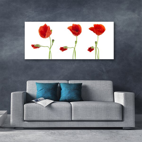 Tablou pe panza canvas Maci Floral Roșu Verde