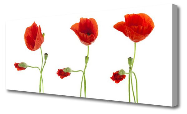 Tablou pe panza canvas Maci Floral Roșu Verde
