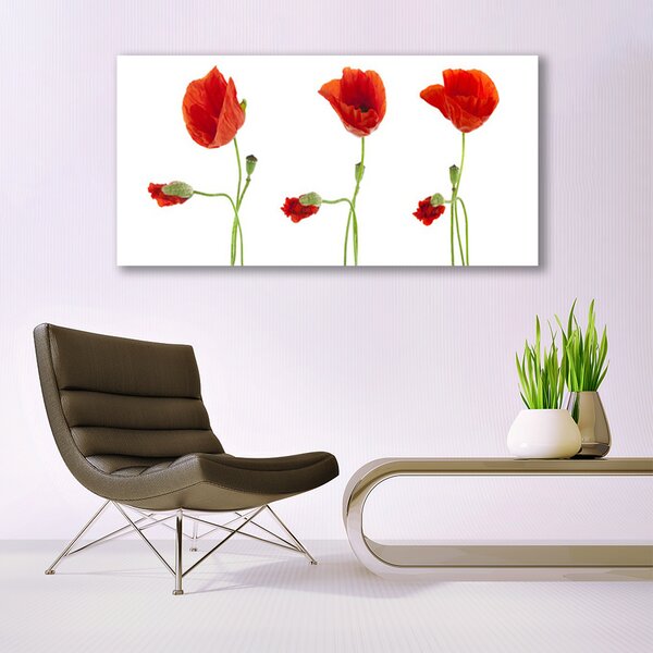 Tablou pe panza canvas Maci Floral Roșu Verde