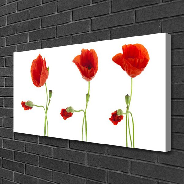 Tablou pe panza canvas Maci Floral Roșu Verde
