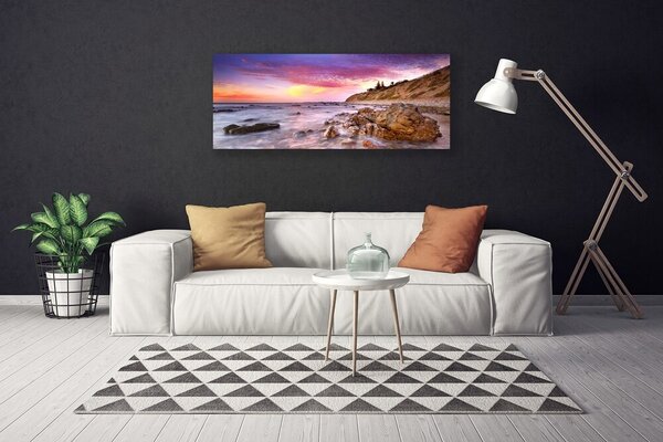 Tablou pe panza canvas Marea pietre Peisaj Gri Violet Roz