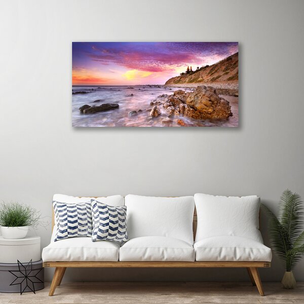 Tablou pe panza canvas Marea pietre Peisaj Gri Violet Roz