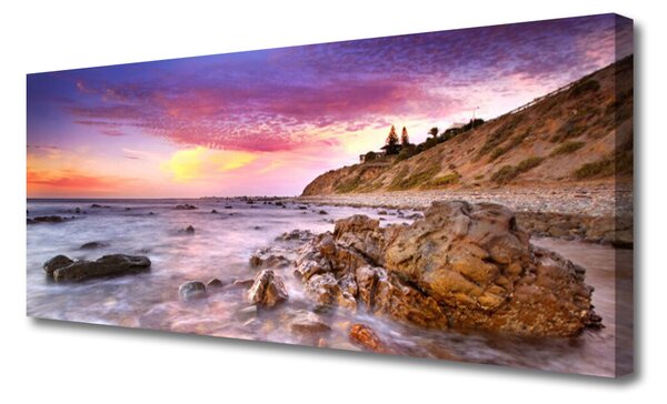 Tablou pe panza canvas Marea pietre Peisaj Gri Violet Roz