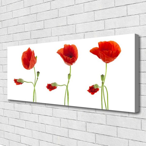 Tablou pe panza canvas Maci Floral Roșu Verde