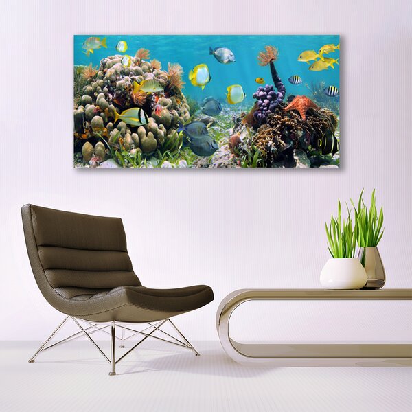 Tablou pe panza canvas Coral Reef Natura Multi