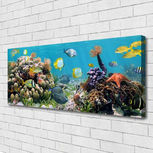 Tablou pe panza canvas Coral Reef Natura Multi