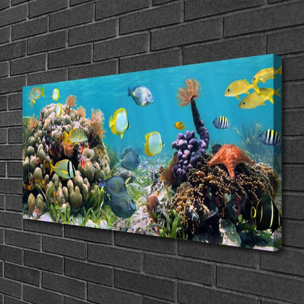 Tablou pe panza canvas Coral Reef Natura Multi