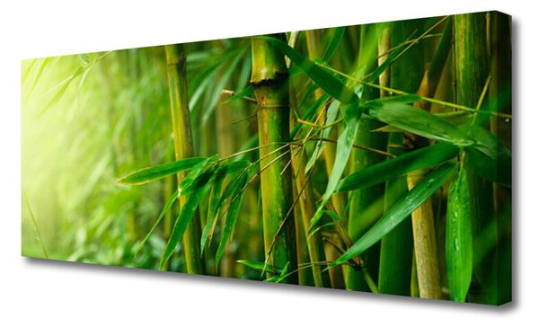 Tablou pe panza canvas Bamboo Tulpini Floral Verde