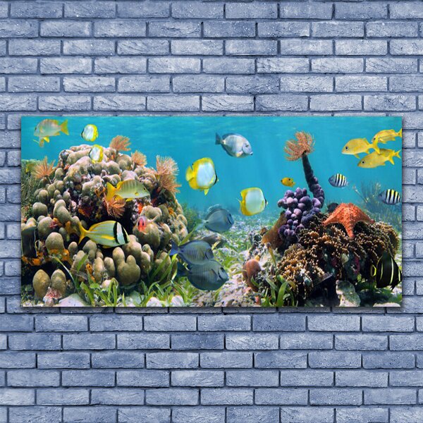 Tablou pe panza canvas Coral Reef Natura Multi
