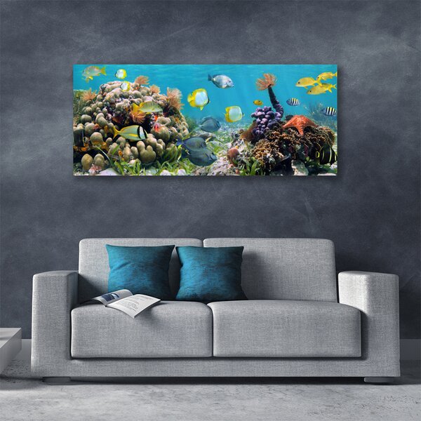 Tablou pe panza canvas Coral Reef Natura Multi